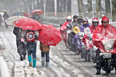 暴雪，暴雪！