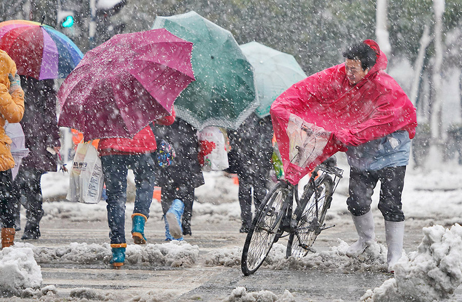 暴雪，暴雪！(田鸣 摄)